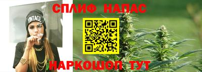 молекула духа Бузулук